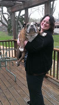  The foster family takes a Rescue Bulldog into their home, feeds, cares for, …