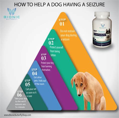  The goal of using CBD in dogs with seizures would be the same as with other anti-seizure medications—decrease the frequency of seizures while having minimal side effects