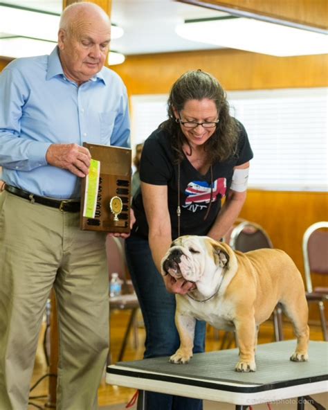  The group has been dedicated to the breed since , as a component of Lone Star Bulldog Club