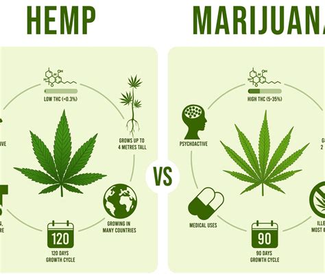  The hemp plant is a type of cannabis that, by US law, must contain less than 0