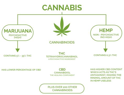  The high associated with hemp or marijuana is from THC, or tetrahydrocannabinol