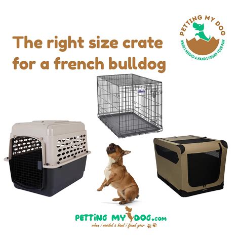  The ideal crate size for a French Bulldog is one that allows them to stand up, turn around, and lie down comfortably