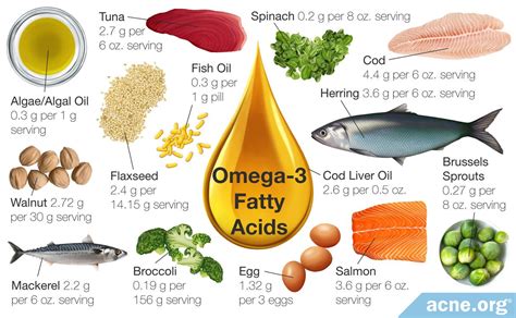  The inclusion of omega-3 fatty acids contributes to healthy skin and a shiny coat