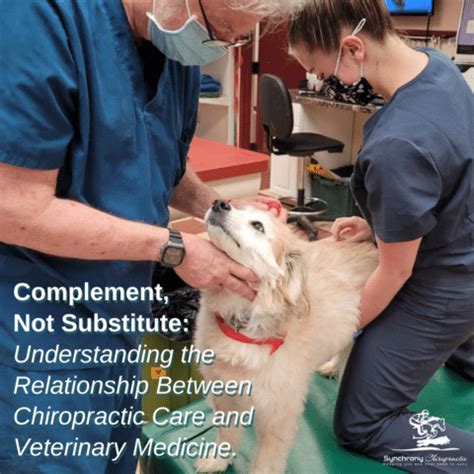  The information is not a substitute for expert veterinary care