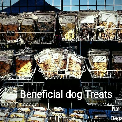  The key is to look for dog food that does not contain any preservatives, fillers, wheat, corn, and too much protein