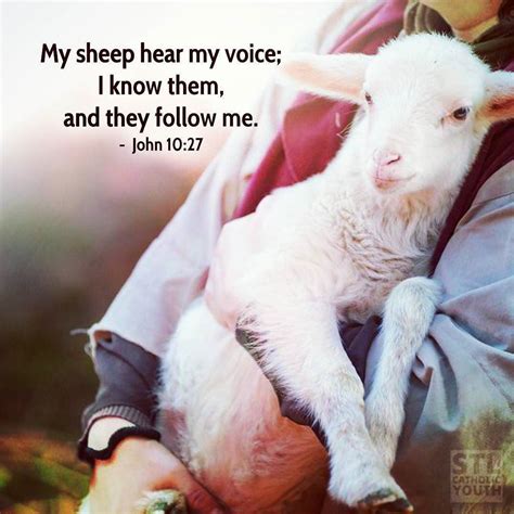  The lamb learned during the healing process that the shepherd could be trusted
