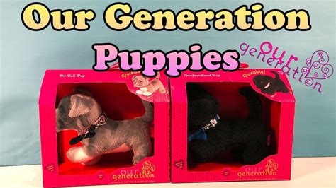  The litters of Greta and Kate mark our sixth generation of puppies