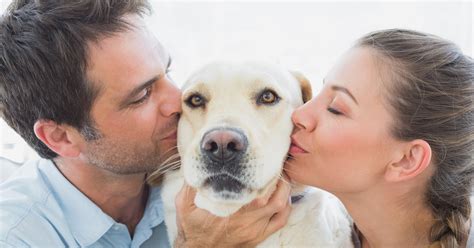  The love of a dog owner and their canine companion can be a special source of joy in the life of both parties