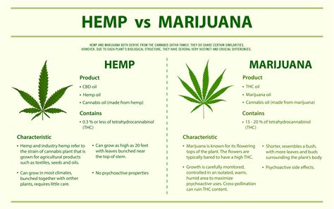  The main difference between hemp and marijuana products is the amount of THC they contain