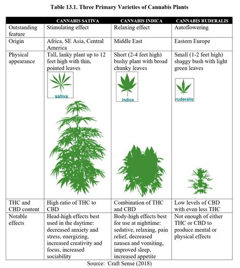  The main difference between the two plants is the tetrahydrocannabinol, or THC, content