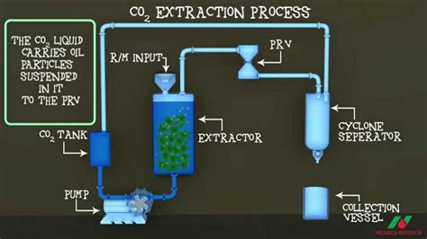  The method of extraction makes a difference as well, with CO2 extraction being the best option
