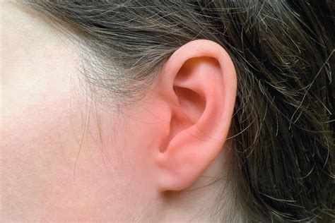  The narrow canals tend to some serious ear infections because the ears are very close to each other