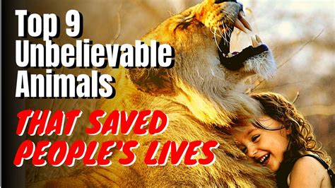  The number of animal lives that have been saved is just unbelievable