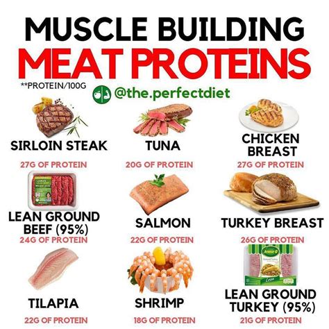  The protein in meat will help build muscle and provide the energy your dog needs to stay healthy