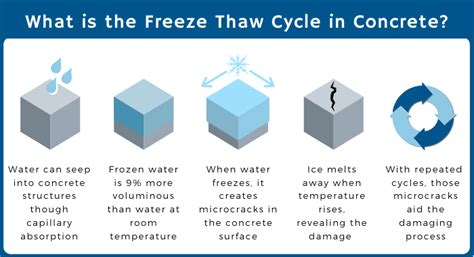  The range of durability after thawing is 10days to 1 year if frozen