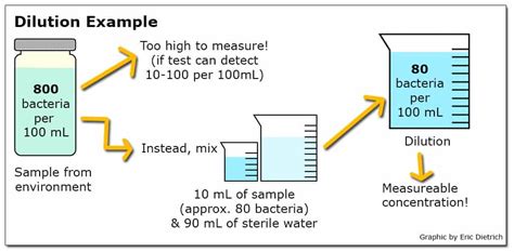  The reason this method sometimes works is likely due to the dilution effect granted by drinking a gallon of water