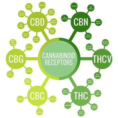  The research team determined that two products had no cannabinoids in them