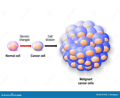  The researchers also found that together, both reduced cancer cells a lot