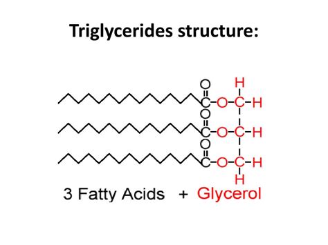  The rest consists of long-chain triglycerides and other compounds