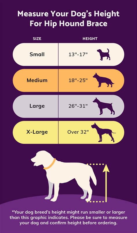  The ultimate size of your dog