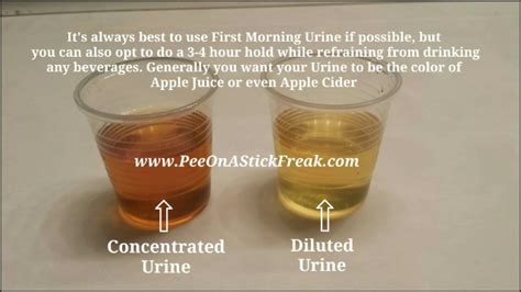  The urine does not show up as being diluted because those components have been replaced, so these drinks might work for light smokers