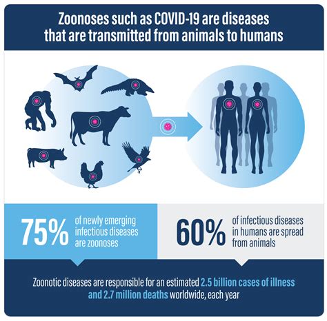  The zoonotic disease spreads easily from animals to humans and is more common in warm climate areas with high annual rainfall; the Leptospira vaccine may be considered core in these areas