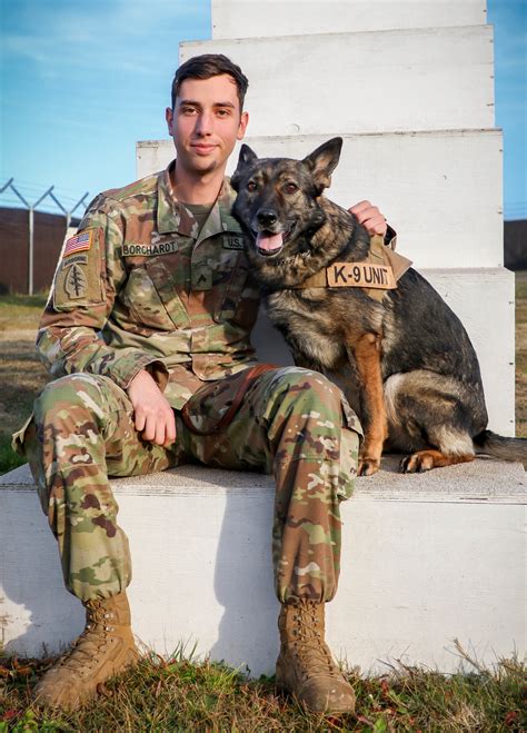  Their Golden Shepherd parents regularly work as military, police, and guard dogs, while their Golden Retriever parents have jobs as hunting and guide dogs