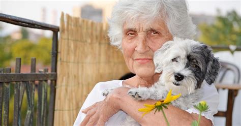  Their elderly owner could not care for them any longer so surrendered them