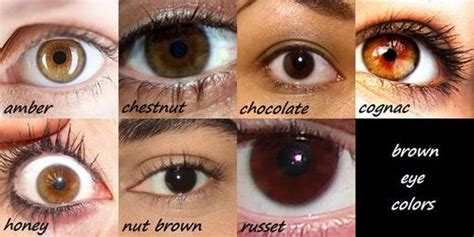  Their eye color is usually brown