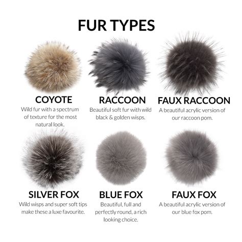  Their fur type can vary widely due to their mix of genetics