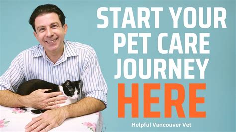  Their guidance is grounded in years of training and experience, making them a valuable resource in your pet care journey