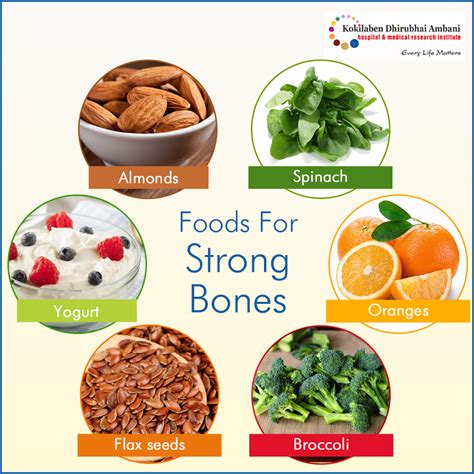  Their gut health will improve while their bones remain strong as a result of these ingredients