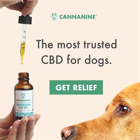  Their website contains headers and posts about CBD oil for dogs, leading to their CBD-free hemp products, which is quite misleading for the consumer
