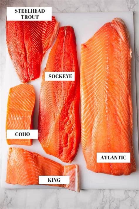  Their yummy taste comes from real salmon and chicken, with no artificial flavors or colors