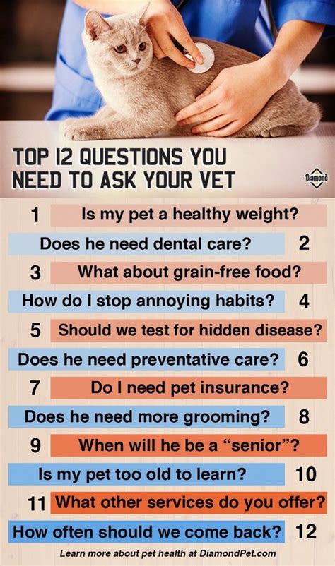 Then ask your veterinarian about the quality of the food and whether you will need to make a switch
