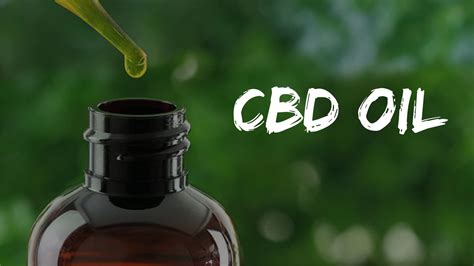  There are a number of companies that have introduced CBD oils for alleviating the pain and managing the symptoms of hip dysplasia