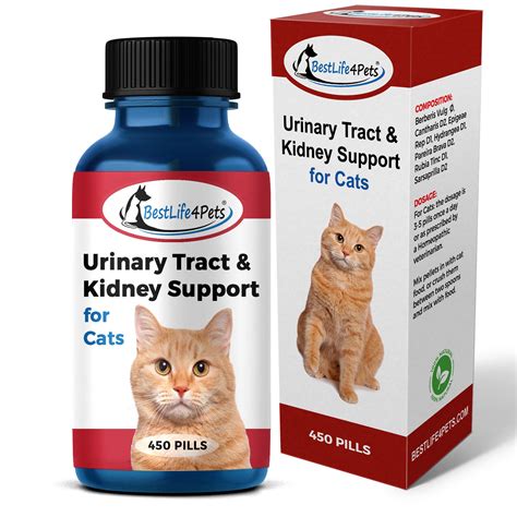  There are also some similar supplements available to help improve the quality of the bladder lining which can help in feline cystitis