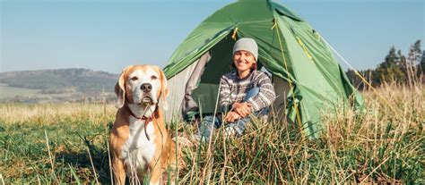  There are many campgrounds in Nebraska that allow dogs