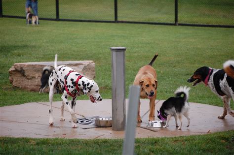  There are many dog parks in Louisiana, both in urban and rural areas