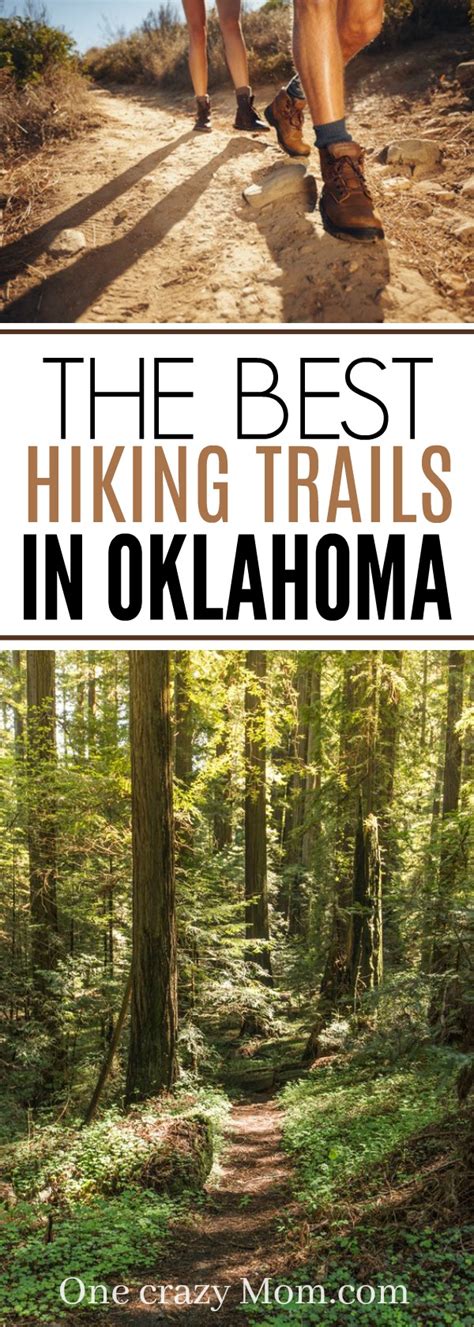  There are many hiking trails in Oklahoma that are perfect for English bulldogs