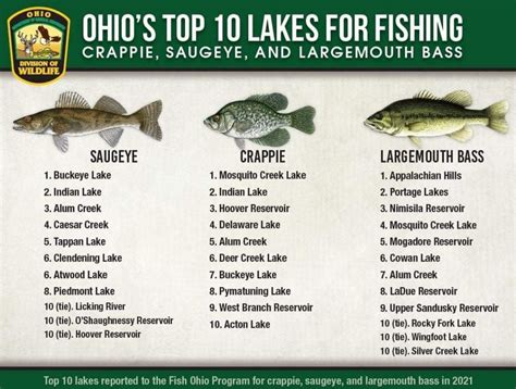  There are many places to fish in Ohio, both in fresh water and salt water