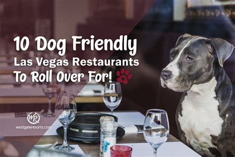  There are over dog-friendly restaurants in the greater Vegas area! Las Vegas is situated in one of the most distinctive landscapes in the entire United States of America