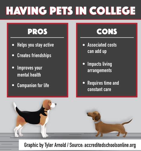  There are several different types of food available for dogs, each having its own pros and cons, and with each dog having their own preferences