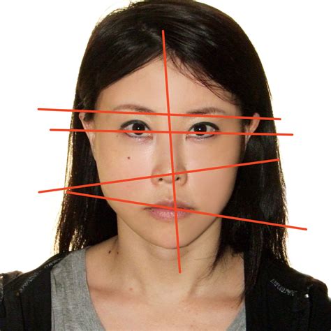  There are some key characteristics with one of the most noticeable being their facial shape