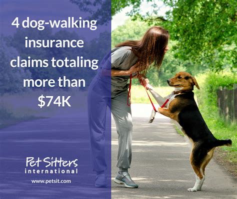  There are some other services, such as dog walking or insurance