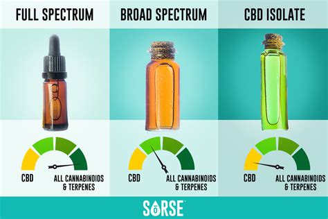  There are three primary types of CBD products: full-spectrum, broad-spectrum, and isolate