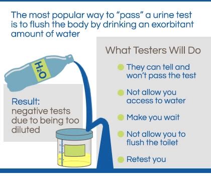  There are three ways that people usually do to try to cheat on a urine drug test