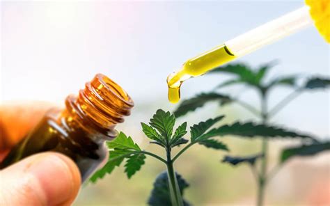  There is a lot of money to be made in CBD oil products