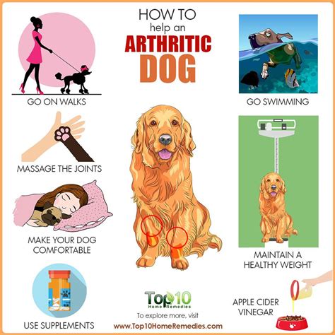 There is no cure for arthritis, but there are treatments that can help manage the pain and improve your dog