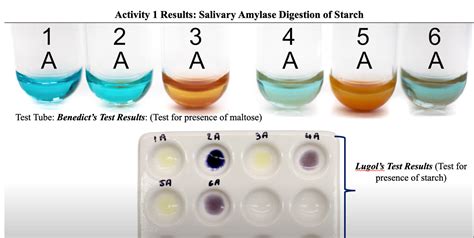  There is not enough proof that acids in the saliva will alter the test results